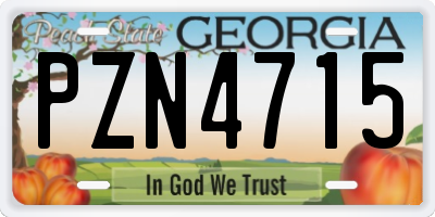 GA license plate PZN4715