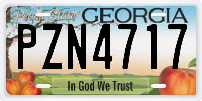 GA license plate PZN4717
