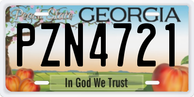 GA license plate PZN4721