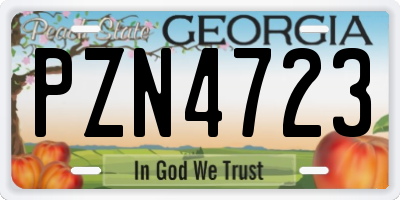 GA license plate PZN4723