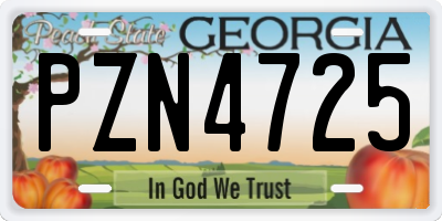 GA license plate PZN4725