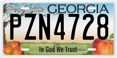 GA license plate PZN4728
