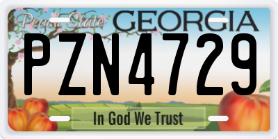 GA license plate PZN4729