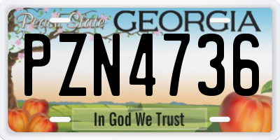 GA license plate PZN4736