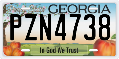 GA license plate PZN4738