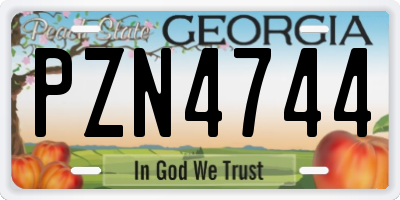 GA license plate PZN4744