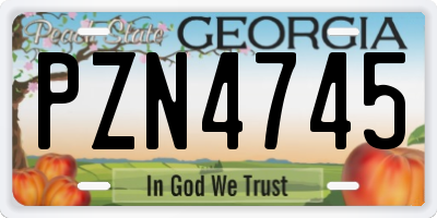 GA license plate PZN4745