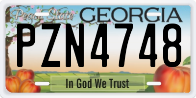 GA license plate PZN4748