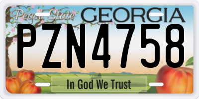 GA license plate PZN4758