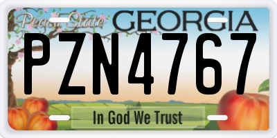 GA license plate PZN4767