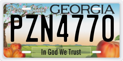 GA license plate PZN4770