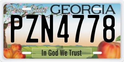 GA license plate PZN4778