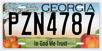 GA license plate PZN4787