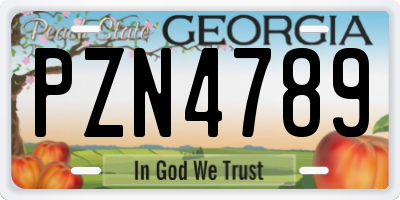 GA license plate PZN4789