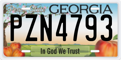 GA license plate PZN4793