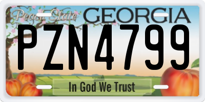 GA license plate PZN4799