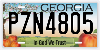 GA license plate PZN4805