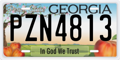 GA license plate PZN4813