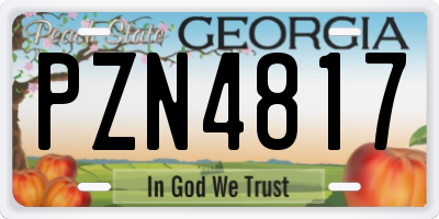 GA license plate PZN4817