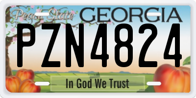 GA license plate PZN4824