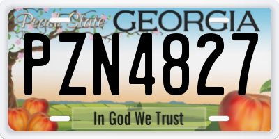GA license plate PZN4827