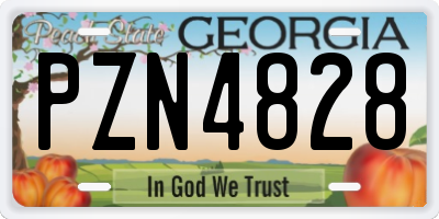 GA license plate PZN4828