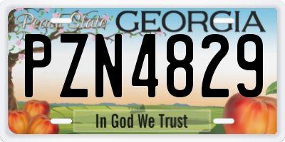 GA license plate PZN4829
