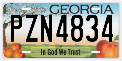 GA license plate PZN4834