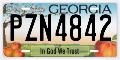 GA license plate PZN4842