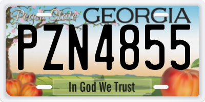 GA license plate PZN4855