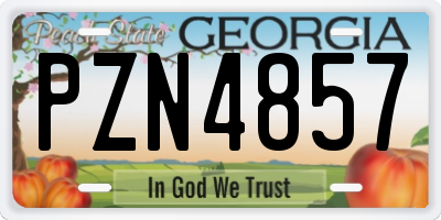 GA license plate PZN4857