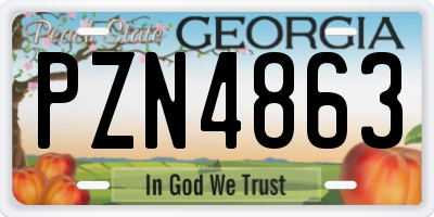 GA license plate PZN4863