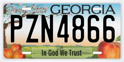 GA license plate PZN4866