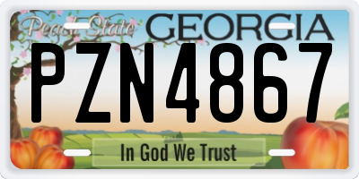 GA license plate PZN4867