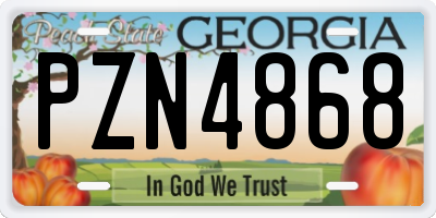 GA license plate PZN4868