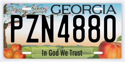 GA license plate PZN4880