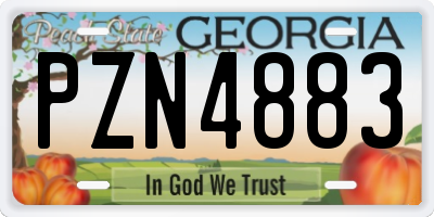 GA license plate PZN4883