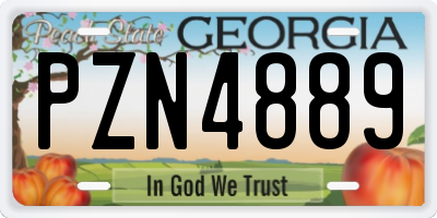 GA license plate PZN4889