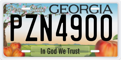 GA license plate PZN4900