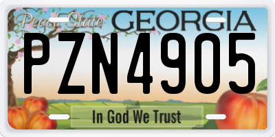 GA license plate PZN4905
