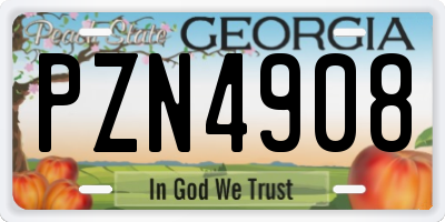 GA license plate PZN4908