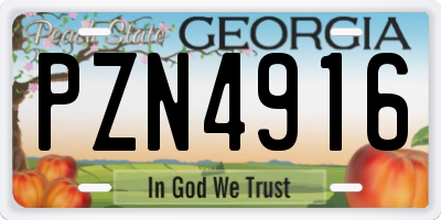 GA license plate PZN4916