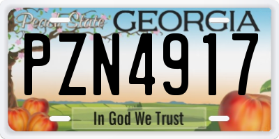 GA license plate PZN4917