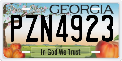 GA license plate PZN4923