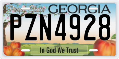 GA license plate PZN4928