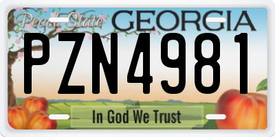 GA license plate PZN4981