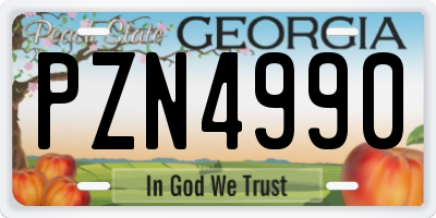 GA license plate PZN4990