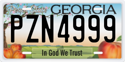 GA license plate PZN4999