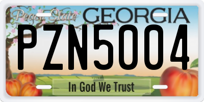 GA license plate PZN5004