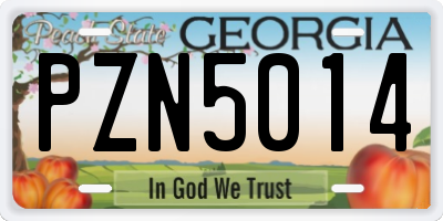GA license plate PZN5014